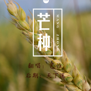 芒种（翻自 音阙诗听）