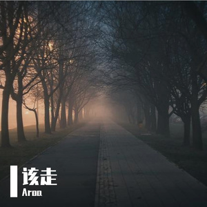 该走 Demo