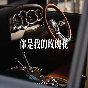 你是我的玫瑰花 (CityPop Female Ver.)