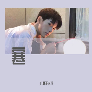 在最美的年纪遇见你