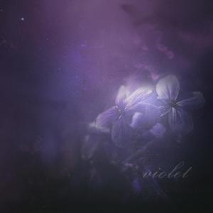 violet