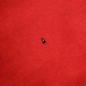 Angikhoni (feat. T'mo, S'lucky & Sir.Ivani)