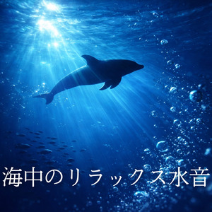 夜の涼しい深い眠り水音