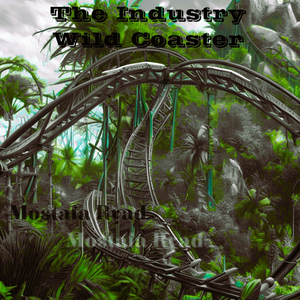 The Industry - Wild Coaster