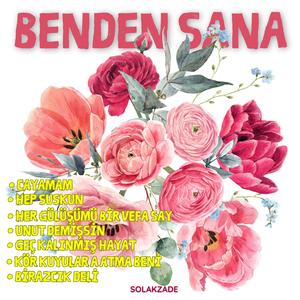 Geç Kalınmış Hayat