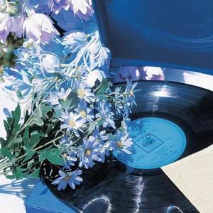 亲亲我的小宝贝