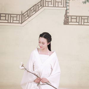 雨碎江南Erhu（Cover 河图）