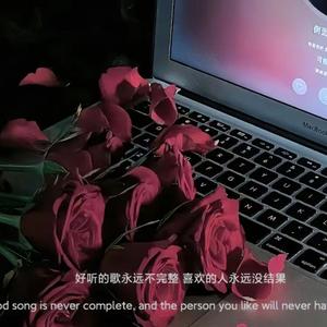 爱意随风起 伴奏