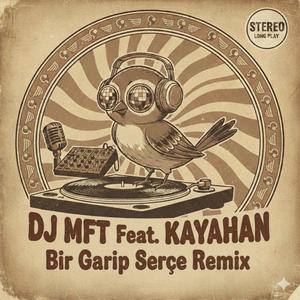 Bir Garip Serçe Remix (Special Version)