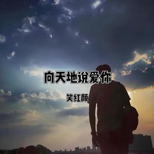向天地说爱你