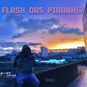 Flash Das Piranh@