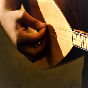 Bağlama Taksimi