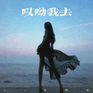 哎呦我去 (Dj嘉桐摇)