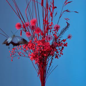 Tak Tęsknię (Live)