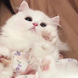 形容