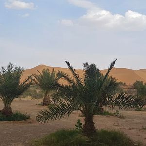 Ballad of Mulan 木兰辞