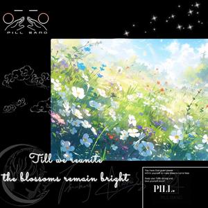 待到春来依旧满堂花开