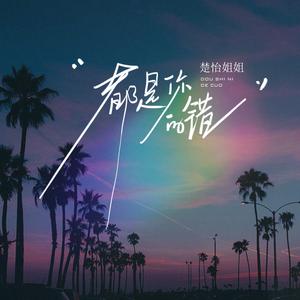 都是你的错 (Dj女生版)