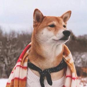 通话