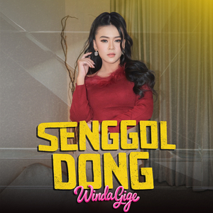 Senggol Dong