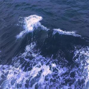 Deep sea