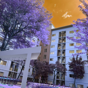 ทำไมคนๆนั้นถึงไม่เป็นฉัน