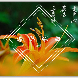 长大后我就成了你（翻自 龚玥）