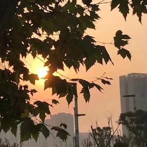 只有在喝醉的时候才想念你，只有在想念你的时候才唱这首歌