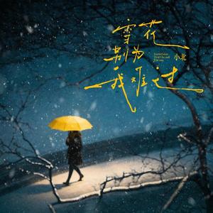 雪花别为我难过（雪花雪花你别笑我）