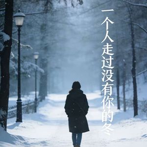 一个人走过没有你的冬