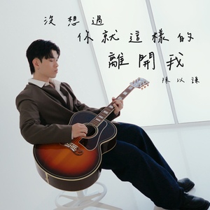 沒想過你就這樣的離開我 The Silence After You