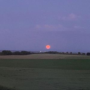 Arrivederci