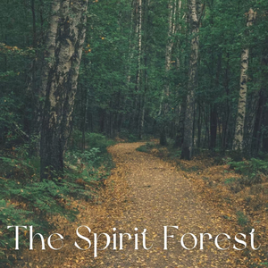 Wind Through Waterfall for Sleep