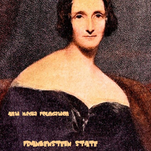 So You're Looking For Love (Somewhere Between Psychedelia And The Madhouse)