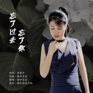 忘了过去忘了你