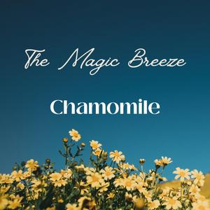 Chamomile