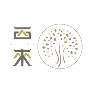 西来的夜