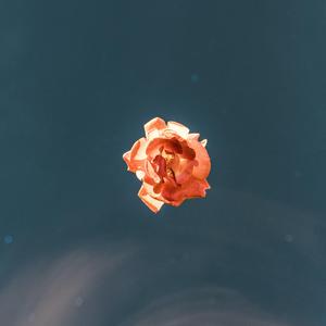 我真的好想解决自己心里面的困惑（Prod by GALA$XXY）