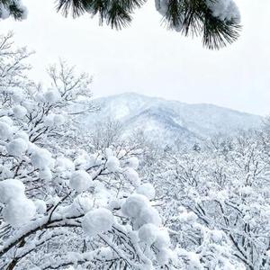 四月的漂流 (Cover 徐明浩)