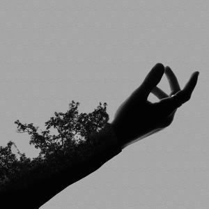 Vindicate (feat. Empty Shell Casing)