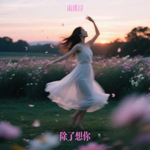 除了想你 (南溪浔 Remix)