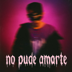 no pude amarte