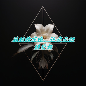 孤独的夜晚，心如寒冰