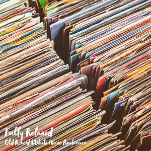 Old Record White Noise Ambience, Pt. 12