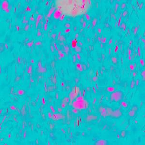 はじめましての気持ちを