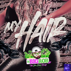 My Hair (DJ Big Rob, Jr. Remix)