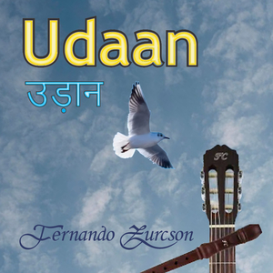 Udaan