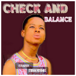 Check and Balance