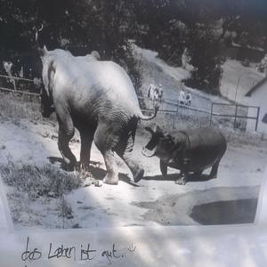 das leben ist guuut SPEDUP