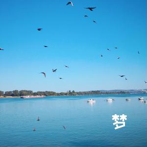 梦（翻自 ONER）